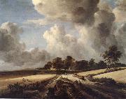 RUISDAEL, Jacob Isaackszon van Wheatfields oil painting